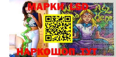 стафф Гай