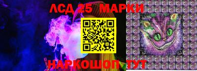 стафф Гай