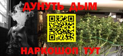 стафф Гай