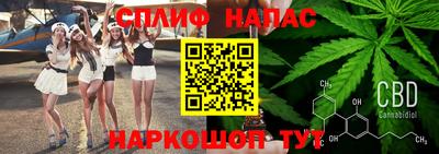тгк Гатчина