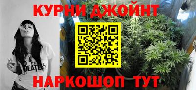 стафф Гай