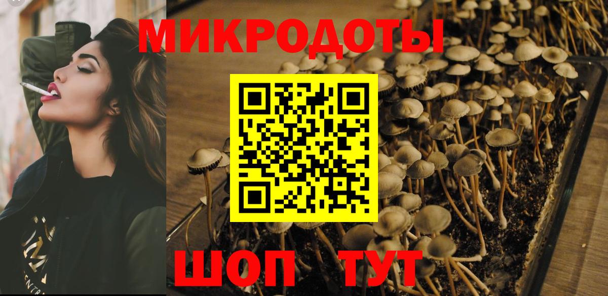 наркота  Вход с VPN  Набережные Челны  Псилоцибиновые грибы Psilocybe 
